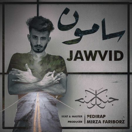 جاوید سامون